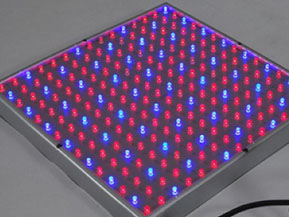 Blue Red LED Plant Grow Light